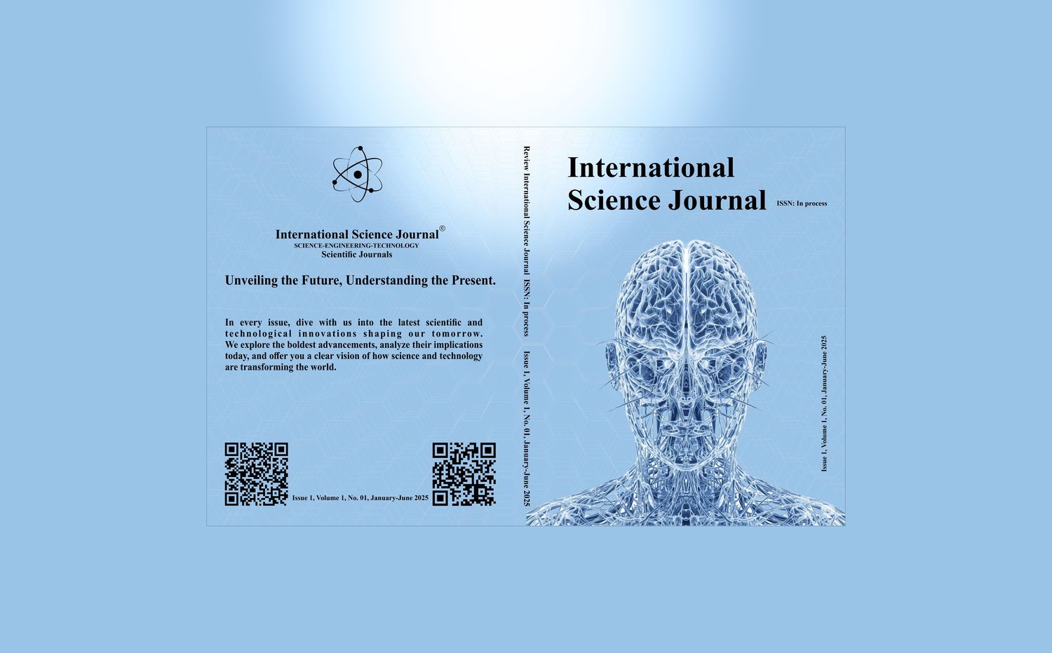Issue 1, Volume 1, No. 01, January-June 2025