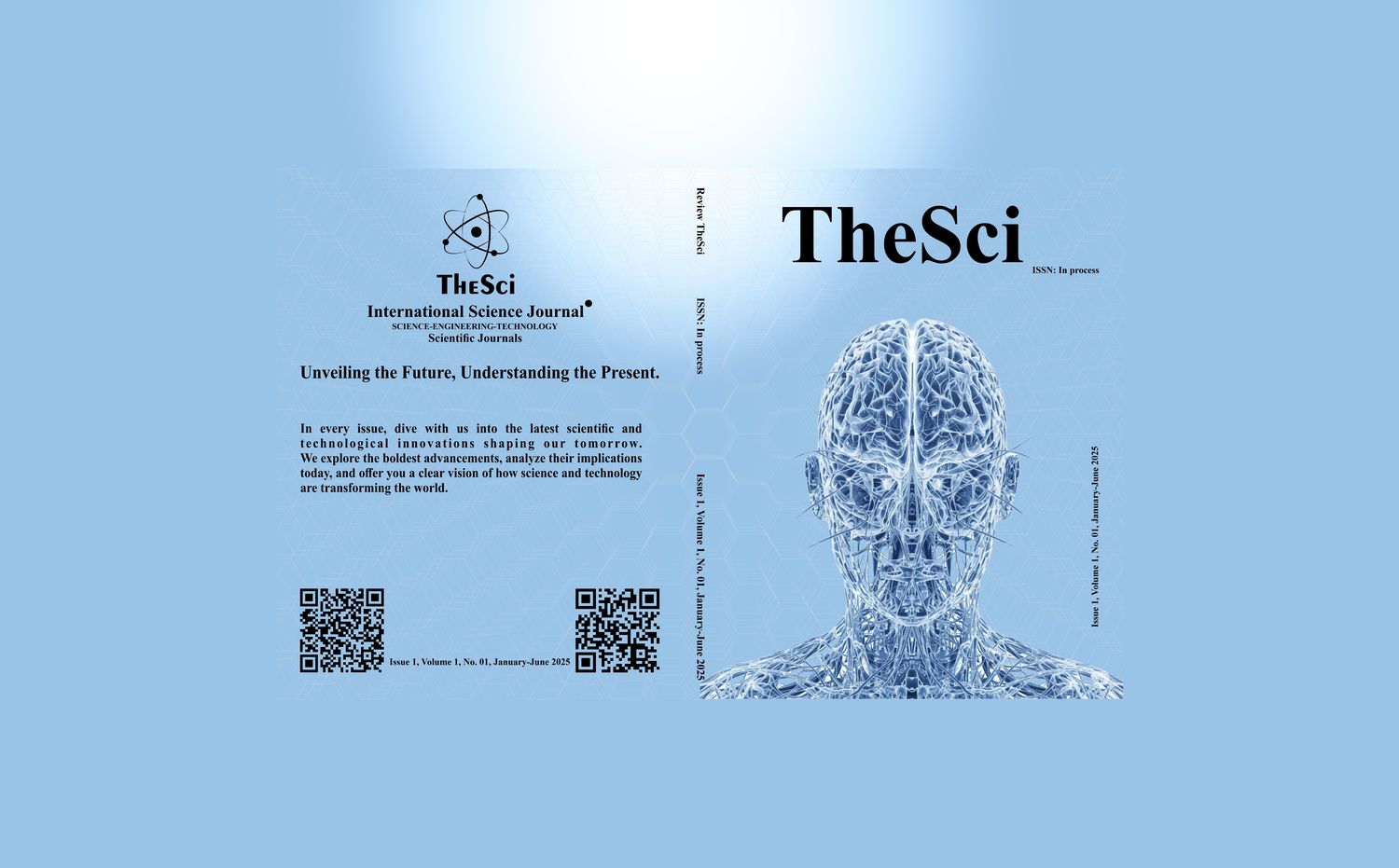 Issue 1, Volume 1, No. 01, January-June 2025
