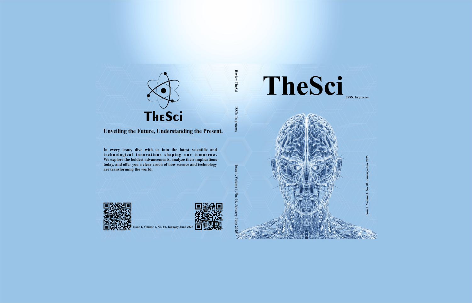 Issue 1, Volume 1, No. 01, January-June 2025